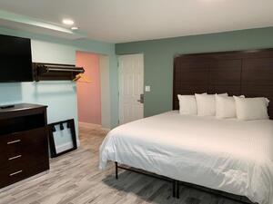 Double Suite with a King Bed & Queen bed Photo 6
